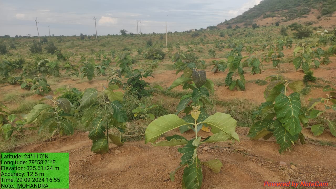 Compensatory Afforestation